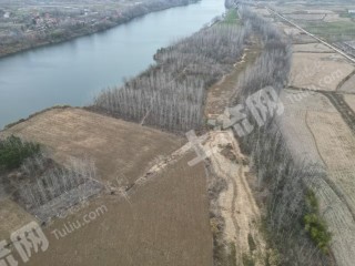 咸宁赤壁市 92亩 水浇地 经营权出租