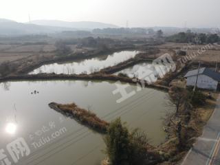 新余渝水区 50亩 坑塘水面 经营权出租