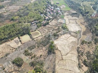 咸宁赤壁市 200亩 水田 经营权出租