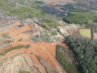 咸宁赤壁市 160亩 旱地 经营权出租