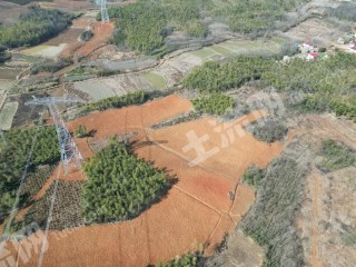 咸宁赤壁市 40亩 水浇地 经营权出租