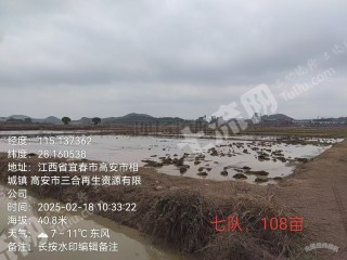 宜春高安市 108亩 水田 经营权出租