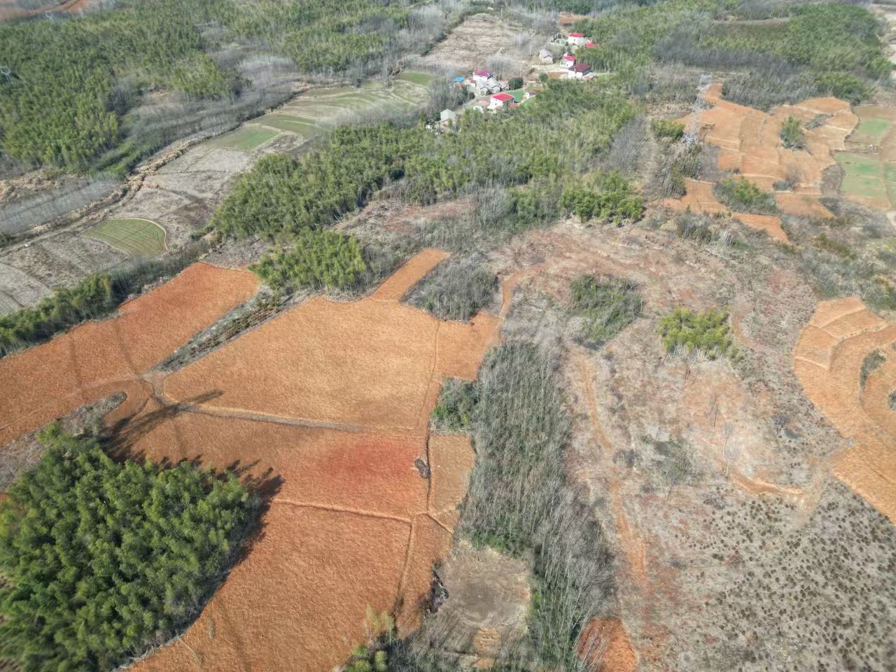 咸宁赤壁市 40亩 水浇地 经营权出租