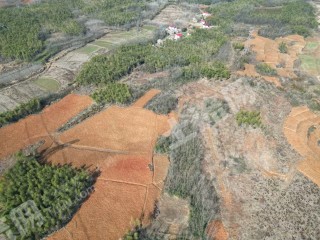 咸宁赤壁市 40亩 水浇地 经营权出租
