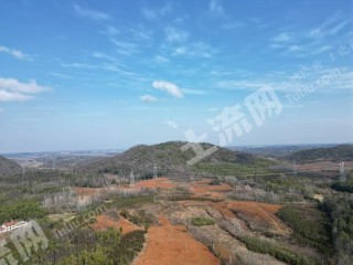 咸宁赤壁市 160亩 旱地 经营权出租