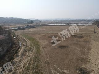 新余渝水区50.0亩水浇地经营权出租