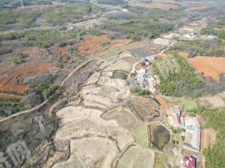 咸宁赤壁市 200亩 水田 经营权出租