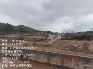 宜春高安市 45亩 水田 经营权出租