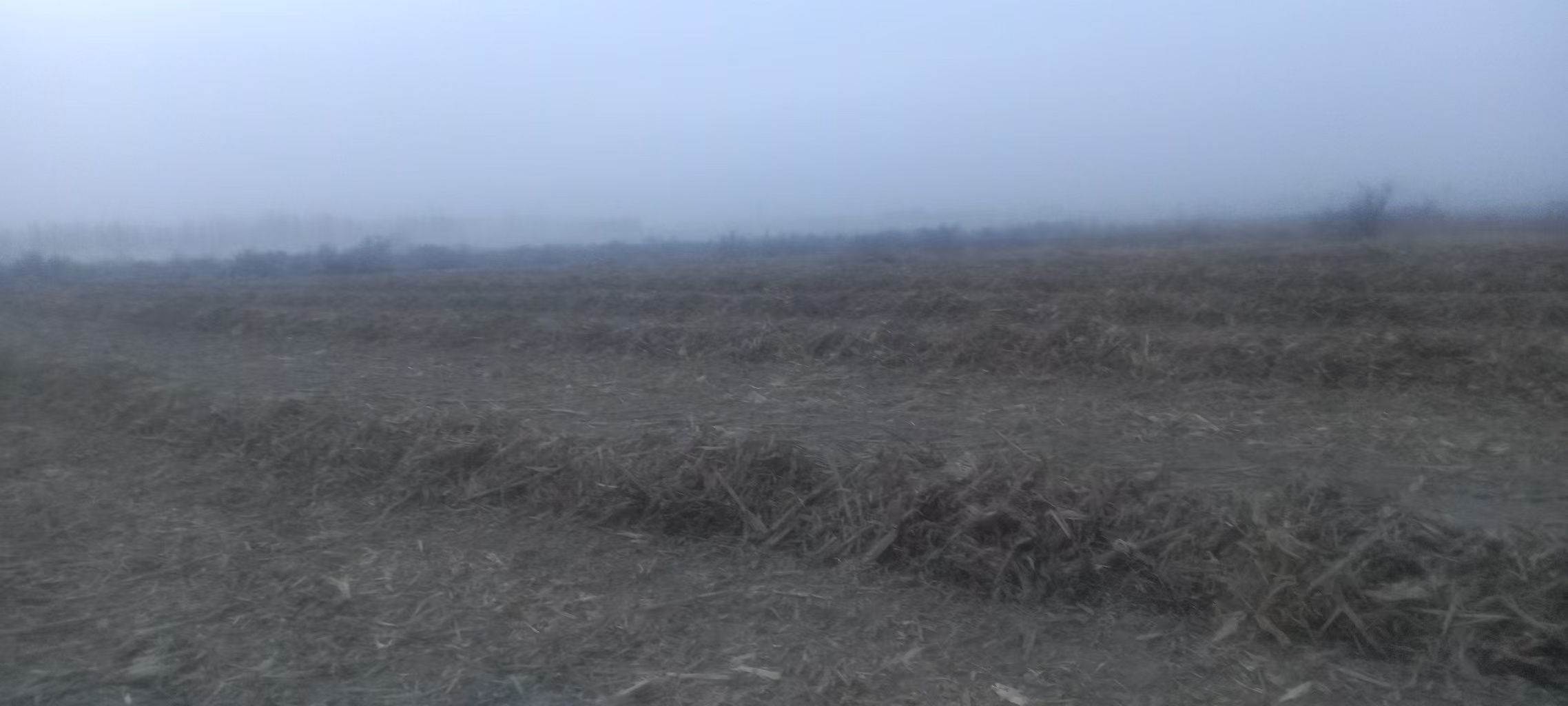 阿克苏拜城县 618.5亩 水浇地 经营权出租