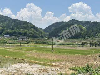 怀化会同县 34.7亩 水田 经营权出租