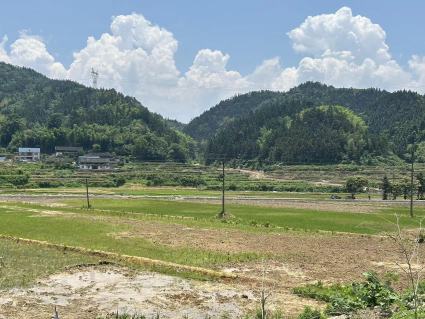 怀化会同县 34.7亩 水田 经营权出租