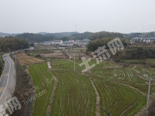 新余渝水区 108.18亩 水浇地 经营权出租