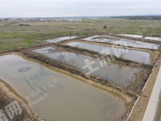 新余渝水区 51.52亩 坑塘水面 经营权出租