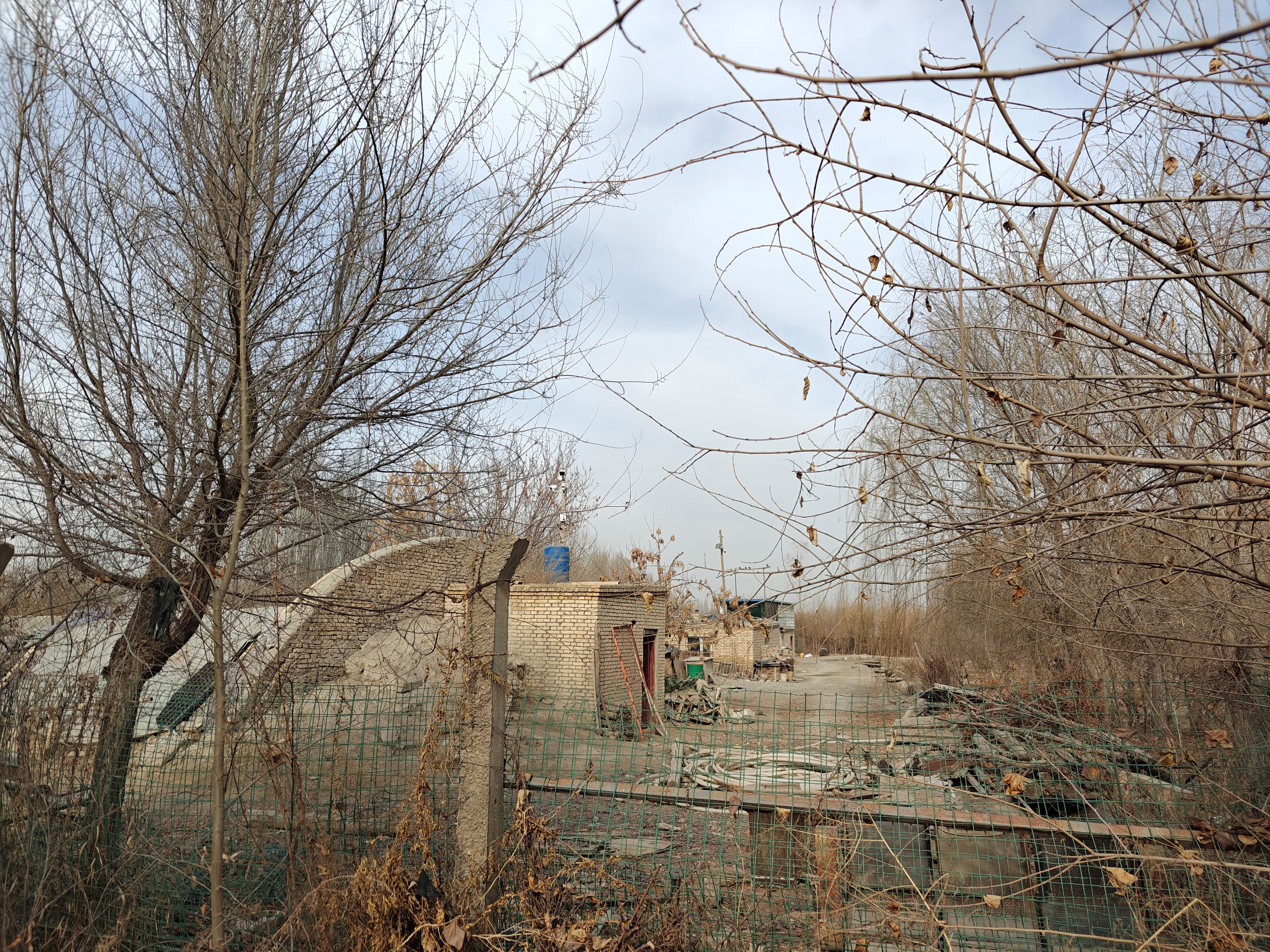 阿克苏拜城县 5.21亩 水浇地 经营权出租