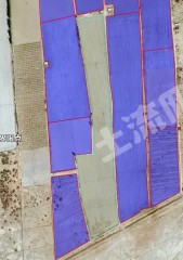 吐鲁番鄯善县 50.92亩 水浇地 经营权出租