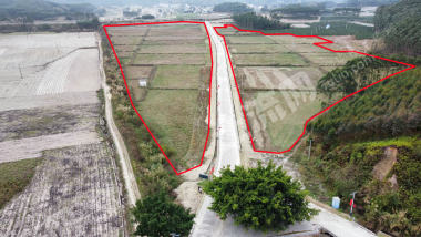 南宁上林县 140亩 水田 经营权出租