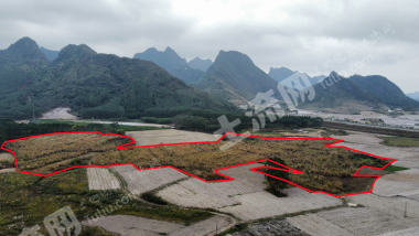 南宁上林县70.0亩旱地经营权出租