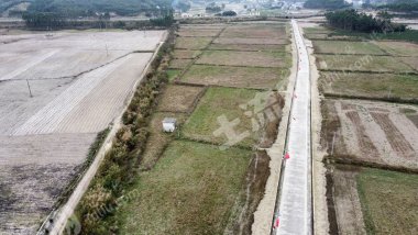 南宁上林县 140亩 水田 经营权出租