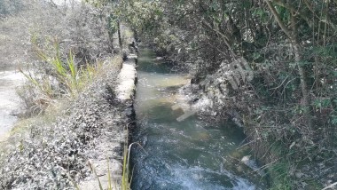 鹰潭贵溪市 50亩 水库水面 经营权出租