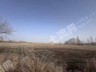 阿克苏沙雅县 160.29亩 水浇地 经营权出租