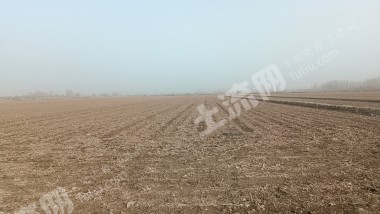 阿克苏沙雅县 113.42亩 水浇地 经营权出租