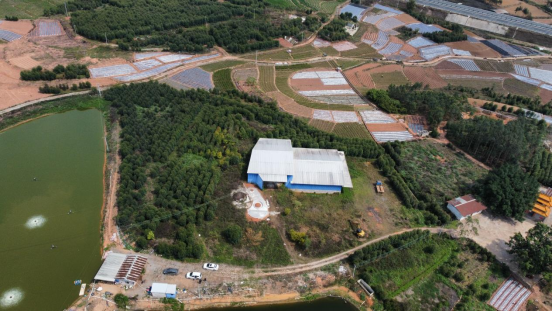 南宁横州市 48亩 其它林地 经营权出租