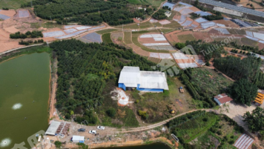 南宁横州市 48亩 其它林地 经营权出租