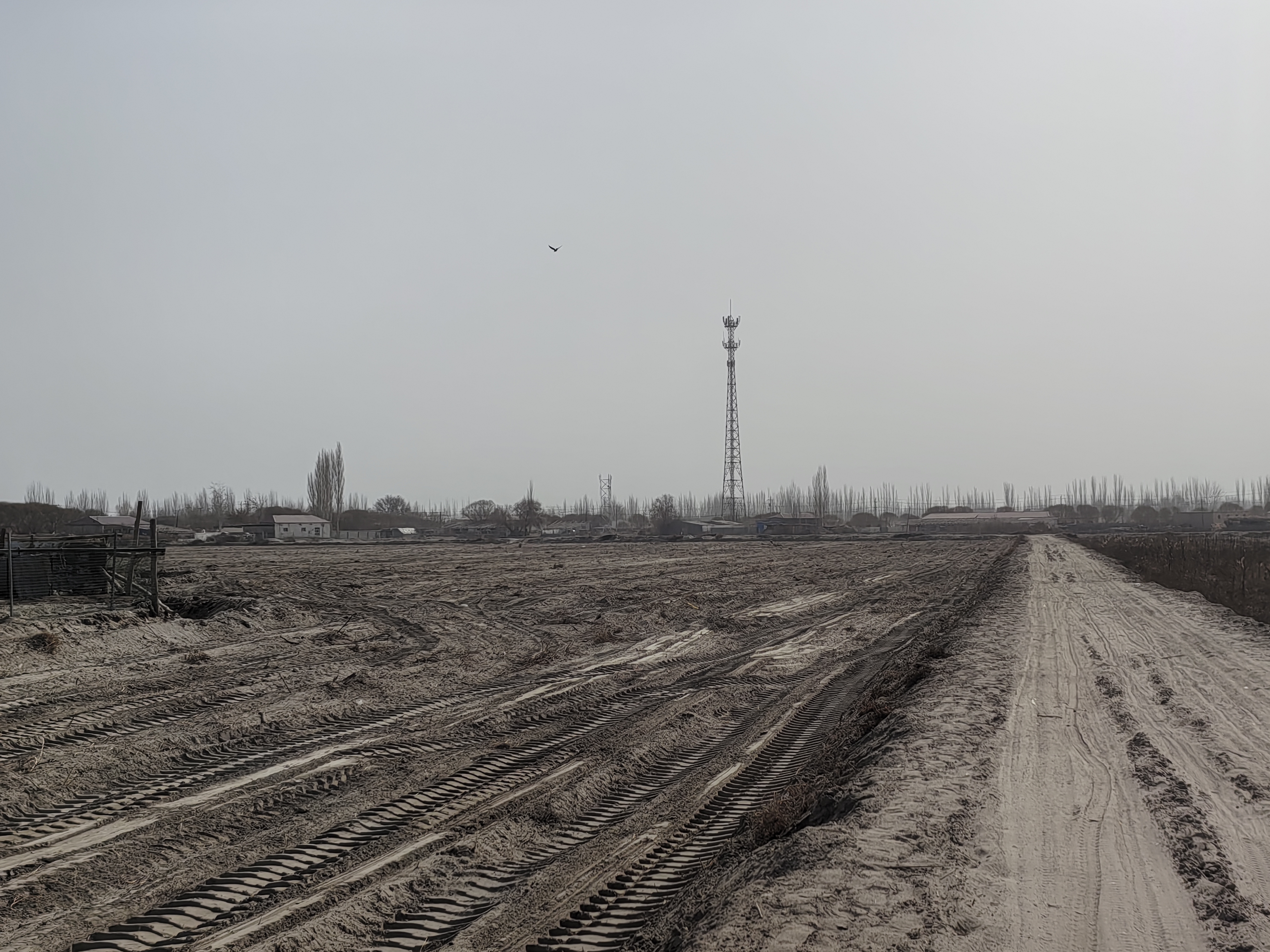 阿克苏新和县 647.4亩 水浇地 经营权出租