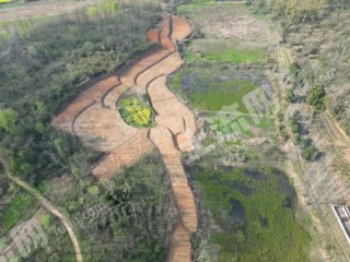 咸宁赤壁市 47亩 水浇地 经营权出租