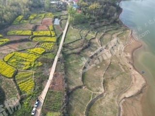 咸宁赤壁市 100亩 水浇地 经营权出租