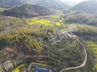 咸宁赤壁市 100亩 水浇地 经营权出租