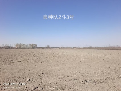 新疆吐鲁番47.0亩人工牧草地经营权出租