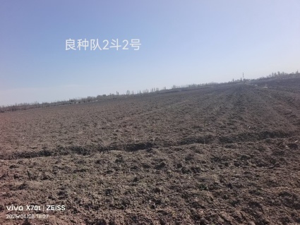 新疆吐鲁番155.0亩人工牧草地经营权出租
