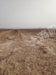 阿克苏柯坪县 124.51亩 水浇地 经营权出租