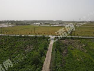 新余渝水区 333亩 水浇地 经营权出租