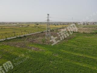 新余渝水区 333亩 水浇地 经营权出租