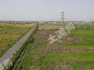 新余渝水区 700亩 水浇地 经营权出租