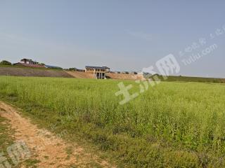 新余渝水区 75亩 水浇地 经营权出租