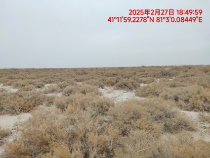 阿克苏温宿县 10000亩 人工牧草地 经营权出租