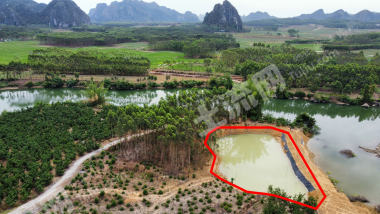南宁上林县 3亩 坑塘水面 经营权出租