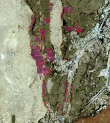 新疆吐鲁番0.82亩水浇地经营权出租