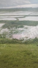 新余渝水区 34.97亩 水浇地 经营权出租