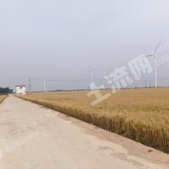 濮阳南乐县 144.97亩 水浇地 经营权出租