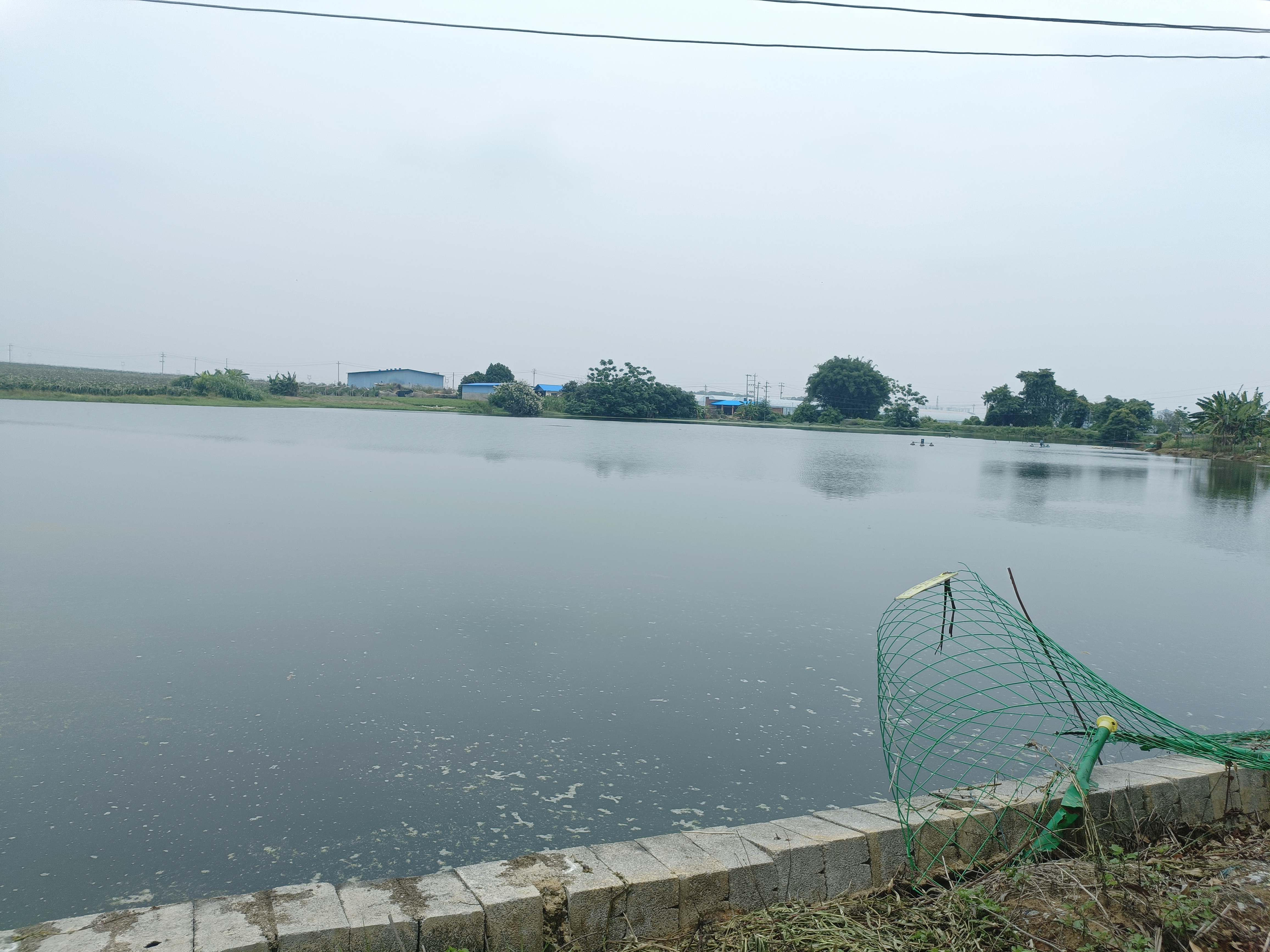 南宁隆安县 50亩 坑塘水面 经营权出租