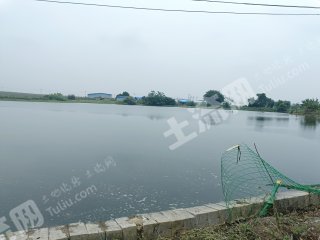 南宁隆安县 50亩 坑塘水面 经营权出租