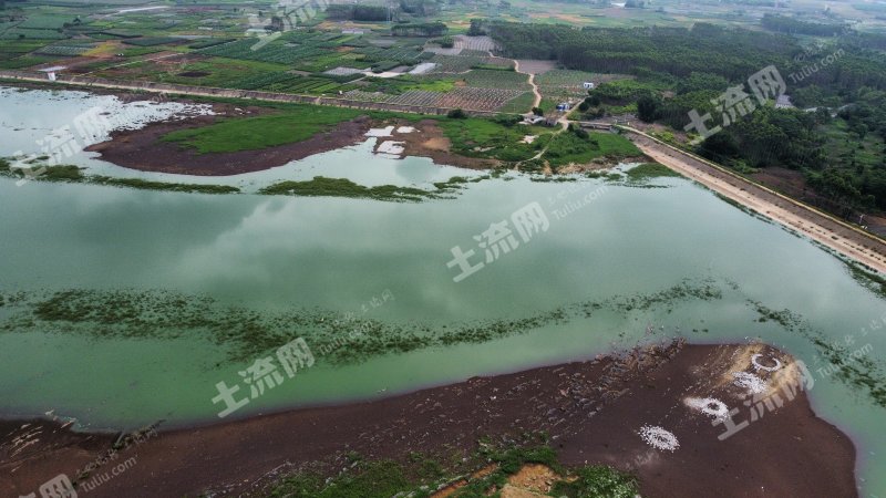 南宁横州市 725亩 水库水面 经营权出租