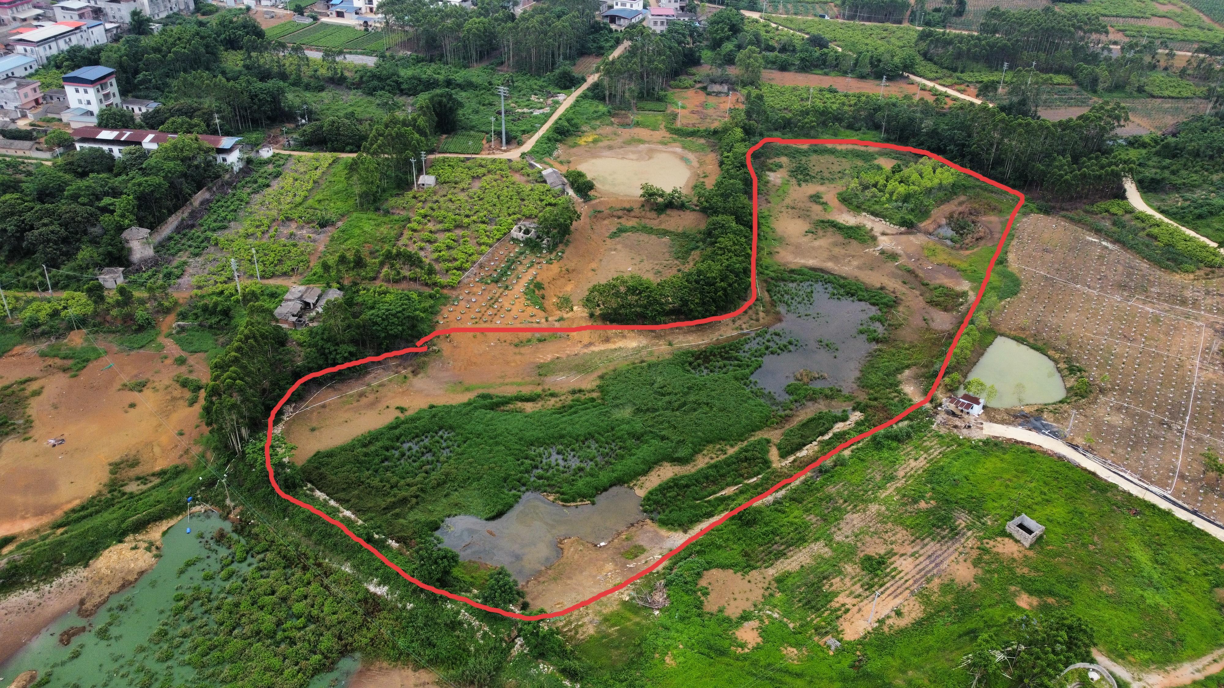 南宁横州市 25亩 坑塘水面 经营权出租