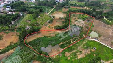 南宁横州市 25亩 坑塘水面 经营权出租