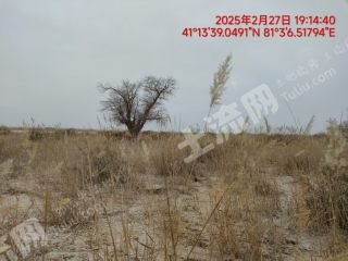 阿克苏温宿县 11000亩 天然牧草地 经营权转包