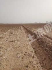 阿克苏柯坪县 124.15亩 水浇地 经营权出租